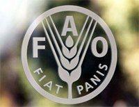About World Food Day (FAO.org)