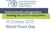 World Food Day. History of Events.