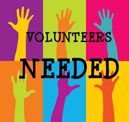 What is International Volunteers Day?