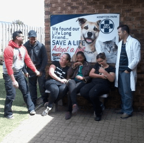 CEEP paints dog kennels at Kempton Park SPCA