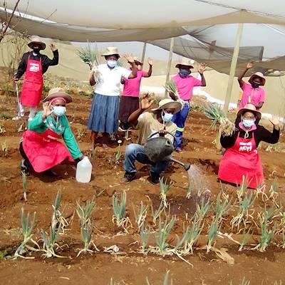 47284317-1f27-456e-9eec-9fddc5abadc5