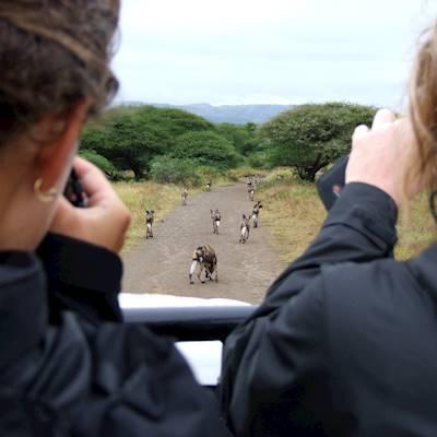 Monitoring & Data Collection