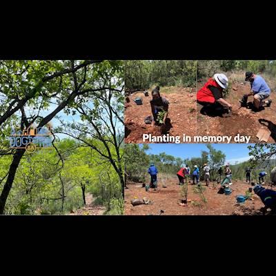 Memorial day at Dogtown SA