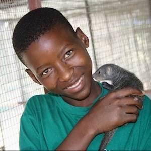 DAKTARI's child learning about mongooses
