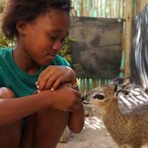 Animals are the best teachers