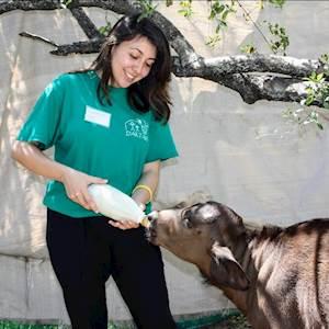 Caroline Trujillo- Volunteer with Children and Animals
