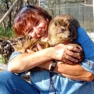 Dassie Story!