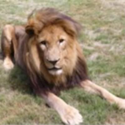 Getting ready for Duma and Knotch