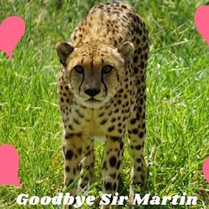 Goodbye Sir Martin