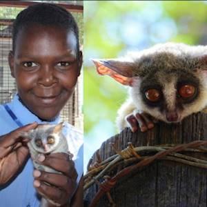 Happy ending story for this Bush Baby!