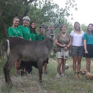 Releasing some of our animal friend!