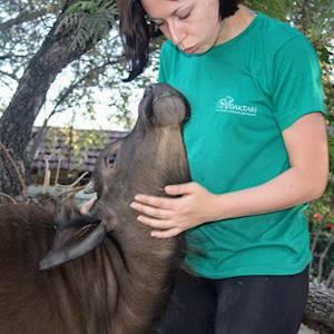 Some DAKTARI animals released