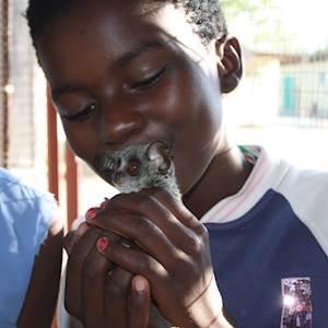 The Wildlife Orphanage: a key element of education