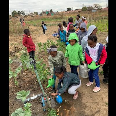 c7f22132-b206-4ab8-bd4c-0072b2421182