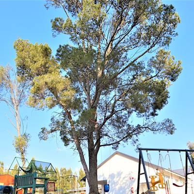 10c46a00-b106-4be7-86fb-e79a05d430ec