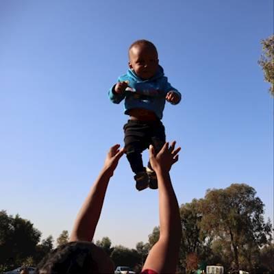 263e6a01-4623-4177-b2a7-ebb9c11f3ccb