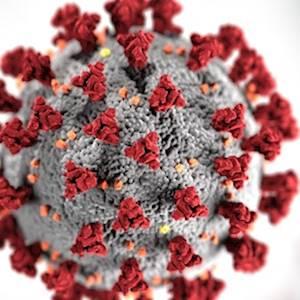 Struggles on the Ground  with COVID-19