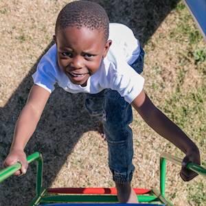 The Road to Adoption is not paved with Gold