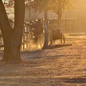 06f0f72e-cdde-04d8-4e10-1a2026d70321