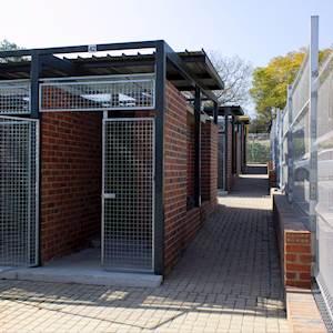 d0171f91-af52-3707-abf2-108d6967fe23