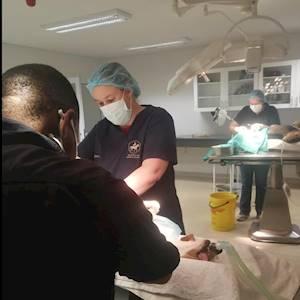 SAID hero team, Dr. Prytz and Dr. Thysse professionally supported by Animal Health Technician, Tebogo, in theatre, saving lives. July 2020