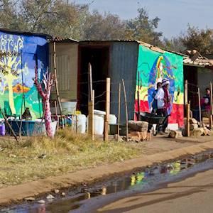 Creating the World's First Living Art Gallery