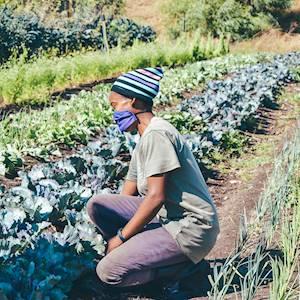 Sustainable farming initiatives in poor communities