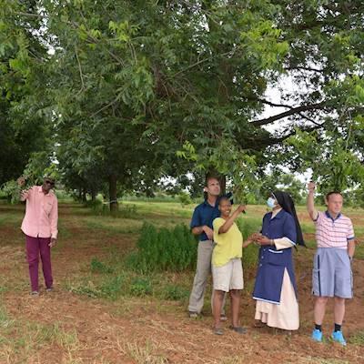 Residents enjoying the pecan nut orchard