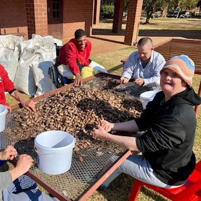 Residents sorting pecan nuts
