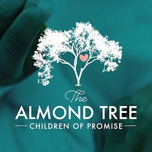 The Almond Tree