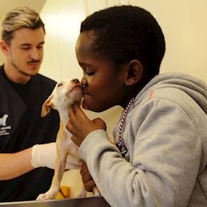 Help Animal Welfare Society of South Africa raise R50,000 for the vaccination of 500 cats and dogs.
