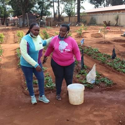 Help Lejwe La Thuso Community Services by donating Jojo Tank and Green House for Agricultural Project