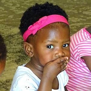 Help Viva Foundation of South Africa with 20 volunteers for Farming and Vegetable Gardening