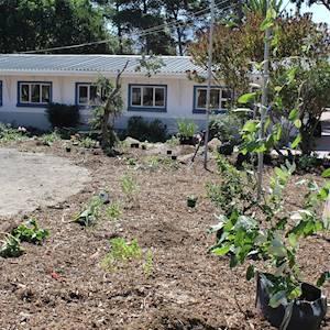 Help Masicorp by donating outdoor furniture, benches, picnic tables for a non-profit community garden based in Masiphumelele