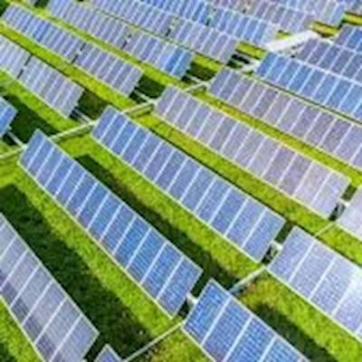 Help Woodrock Animal Rescue raise R250000 for Solar Panels