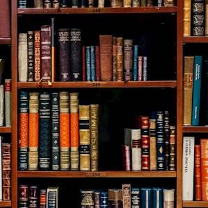 Help Alexandra Education Committee raise R15,000 for buying new books for library to help improve English.