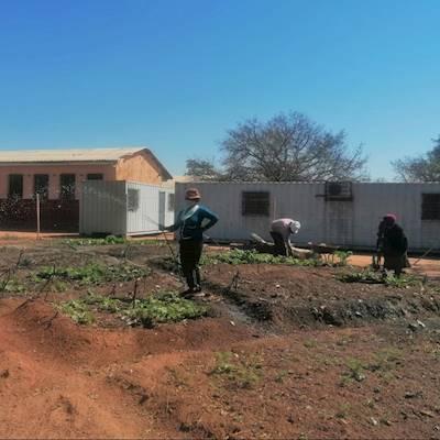 Help Lesedi la Batho with 5 volunteers for mentoring a garden project with agricultural expertise