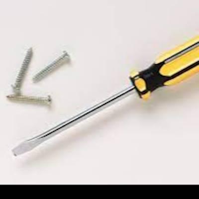 Help The Topsy Foundation - Johannesburg by donating 2 x small Straight screwdrivers for our Vegetable Gardening Project