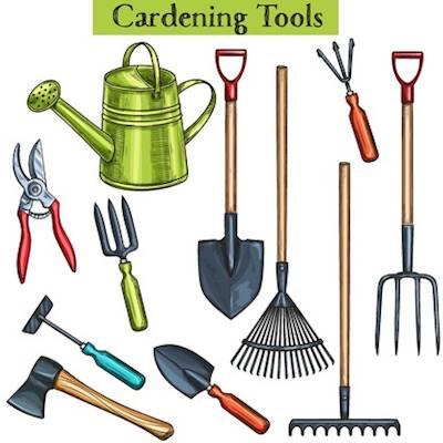 Help The Topsy Foundation - Johannesburg by Donating vegetable seeds, compost and garden tools for our vegetable gardening programme