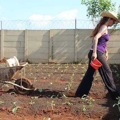 Help Khuthaza Foundation with 20 volunteers for Farming , planting & Volunteering