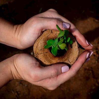 Help Khuthaza Foundation by donating shovels for our garden projects