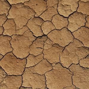 Help Highveld Ridge SPCA with 10 volunteers for Filling up our empty pond