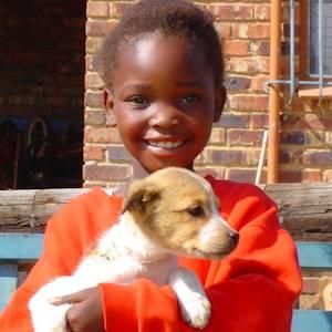 Help The Society for Animals in Distress with 63 volunteers for donations TO ANIMALS FOR YOUR B-DAY instead of gifts 🎁