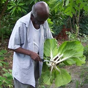 Help Resoketswe Lebjane Foundation by By donating vegetables and garden seeds for elderly people in bushbuckridge this elderly month .
