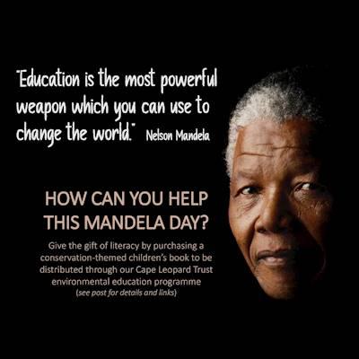 Help The Cape Leopard Trust raise R6,700 for conservation-themed books for 100 children.