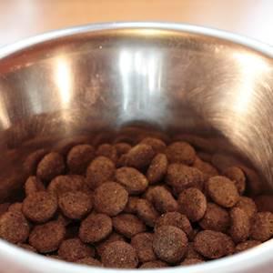 Help Highveld Ridge SPCA by donating to food for our animals