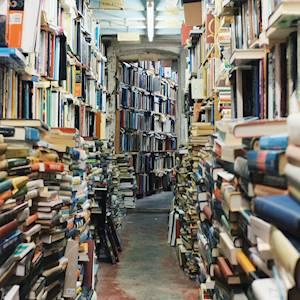 Help IkamvaYouth - Western Cape with 10 volunteers for Tutoring high school learners : Maths, Physics