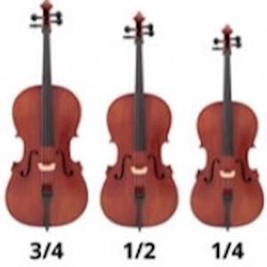 Help Morris Isaacson Centre for Music by donating 1 half and 1 three quarter sized cello for for two beginner cello students