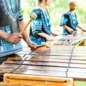 Help The Almond Tree raise R15,500 for a Marimba Instrument - Making  music heals trauma