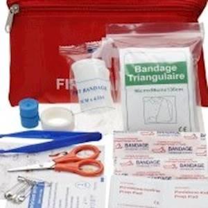 Help Iris House by Donating items for our home carers medical bags for Community based respite care